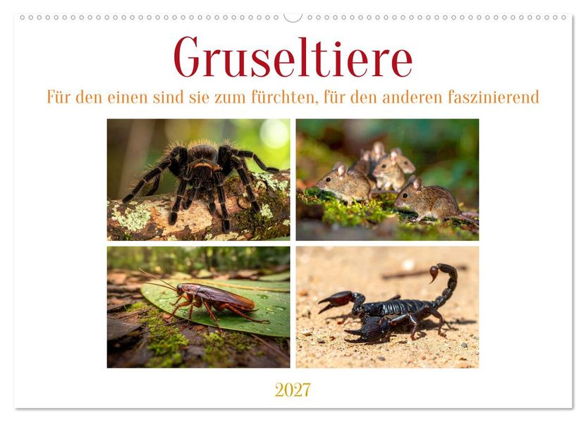 Gruseltiere (Wandkalender 2027 DIN A2 quer) CALVENDO Monatskalender