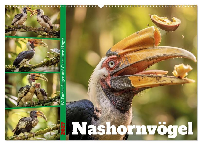Nashornvögel (Wandkalender 2027 DIN A2 quer) CALVENDO Monatskalender