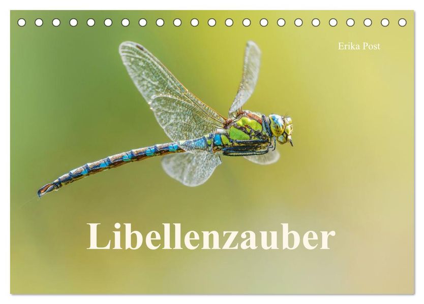 Libellenzauber (Tischkalender 2027 DIN A5 quer) CALVENDO Monatskalender