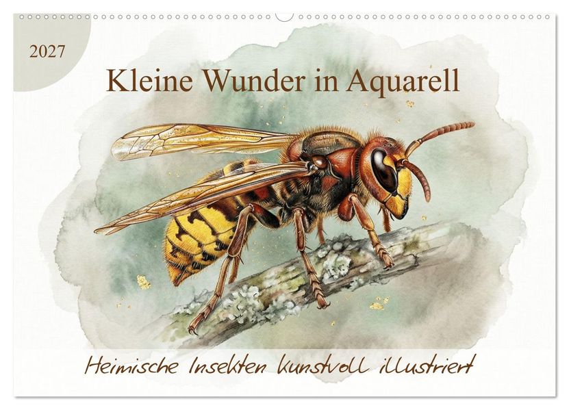 Kleine Wunder in Aquarell - Heimische Insekten kunstvoll illustriert (Wandkalender 2027 DIN A2 quer) CALVENDO Monatskalender