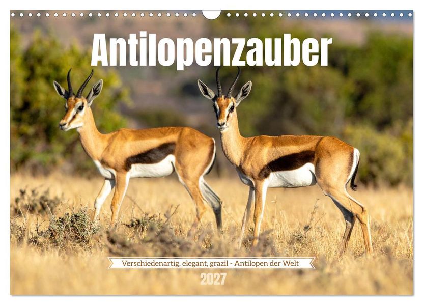 Antilopenzauber (Wandkalender 2027 DIN A3 quer) CALVENDO Monatskalender