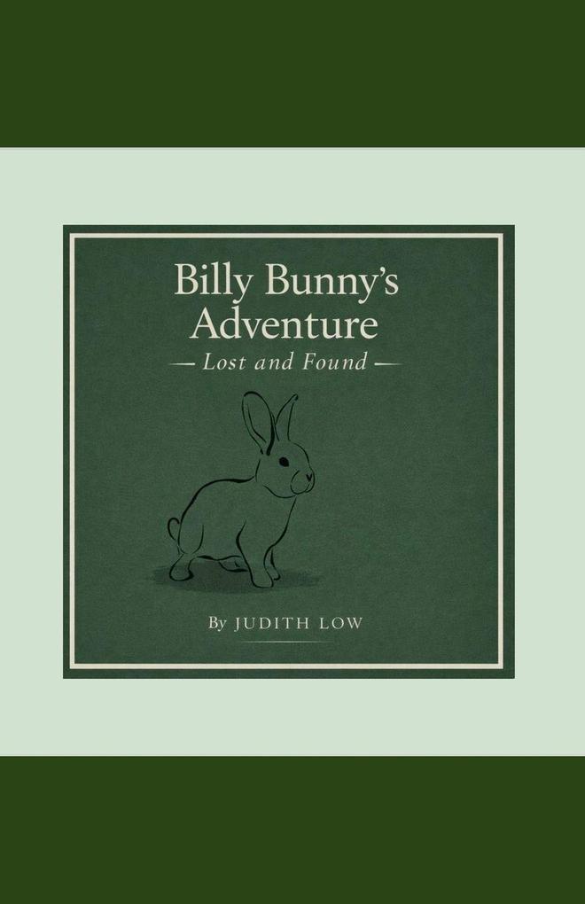 Billy Bunny's Adventure Lost and Found