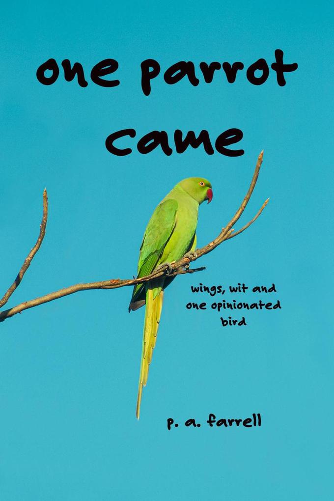One Parrot Came