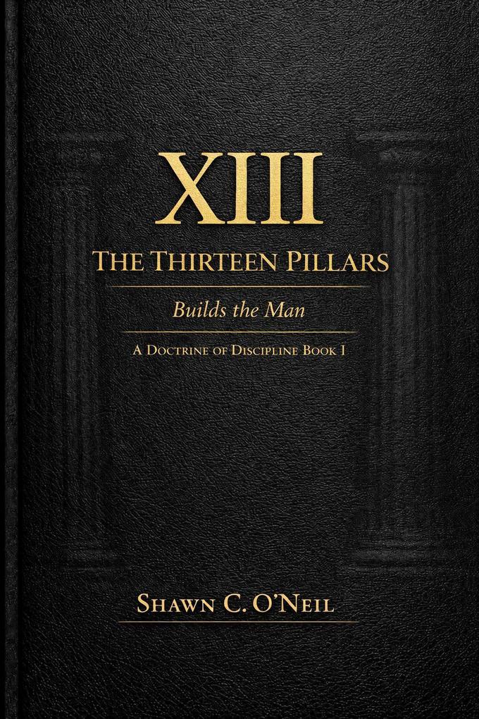 The XIII Pillars: Book One - The Doctrine of Discipline