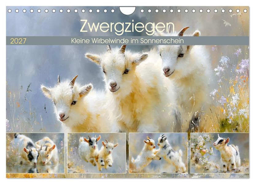 Zwergziegen. Kleine Wirbelwinde im Sonnenschein (Wandkalender 2027 DIN A4 quer) CALVENDO Monatskalender