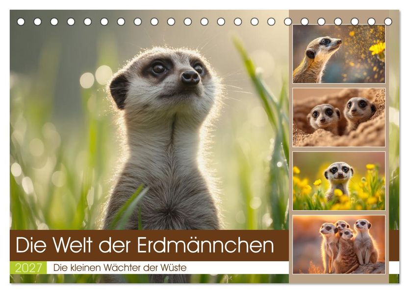 Die Welt der Erdmännchen (Tischkalender 2027 DIN A5 quer) CALVENDO Monatskalender
