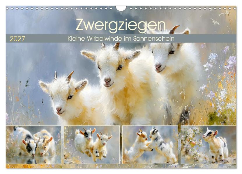 Zwergziegen. Kleine Wirbelwinde im Sonnenschein (Wandkalender 2027 DIN A3 quer) CALVENDO Monatskalender