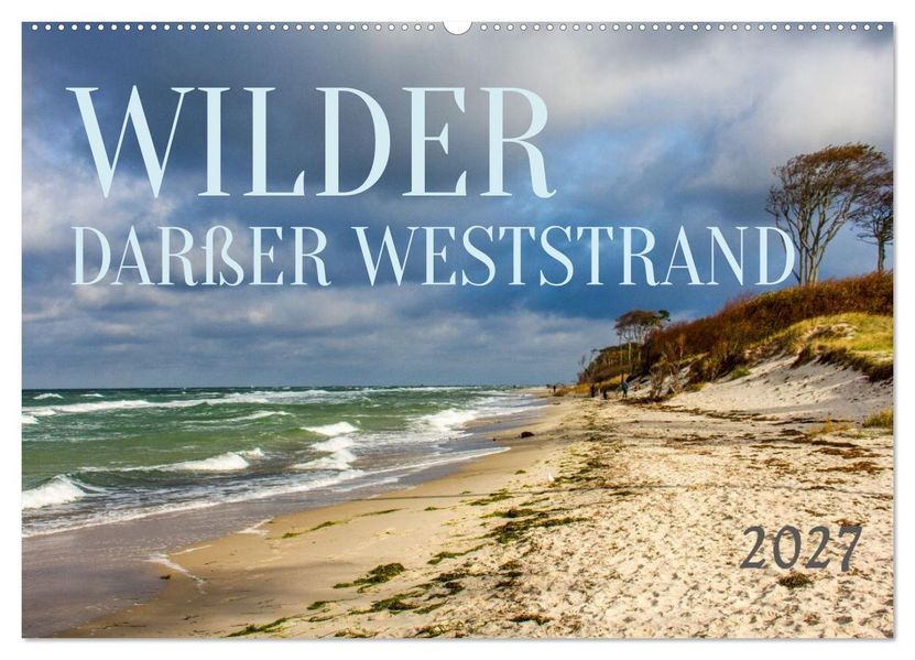 Wilder Darßer Weststrand (Wandkalender 2027 DIN A2 quer) CALVENDO Monatskalender