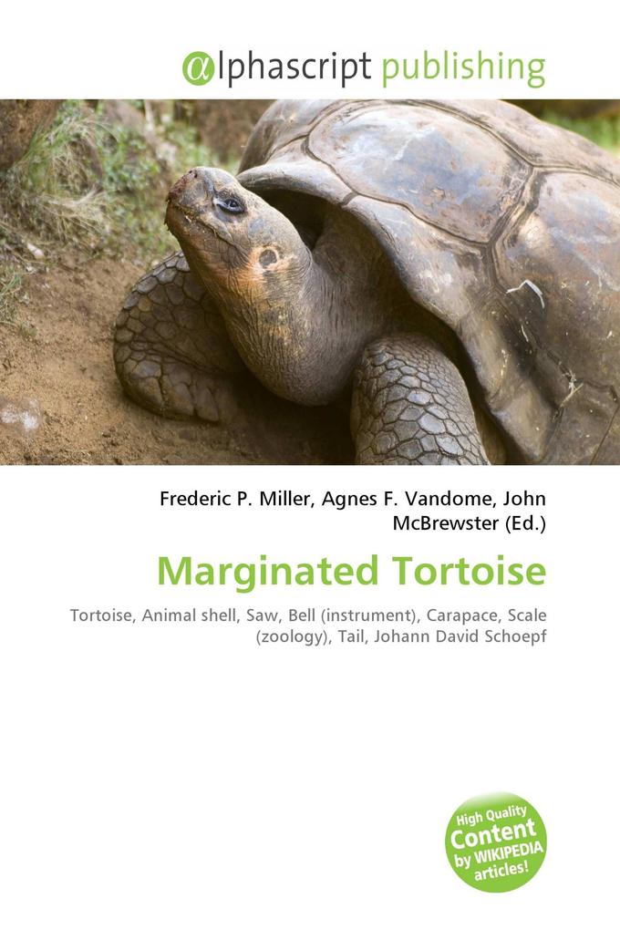 Marginated Tortoise