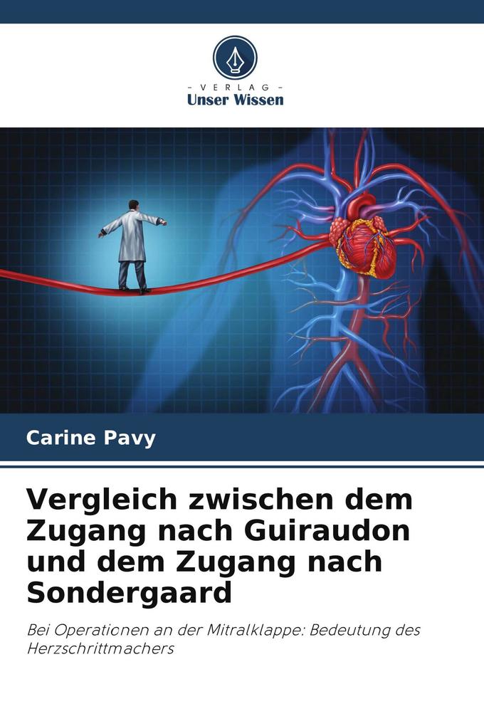 Vergleich zwischen dem Zugang nach Guiraudon und dem Zugang nach Sondergaard