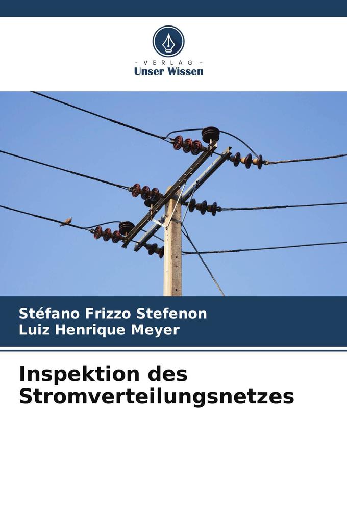 Inspektion des Stromverteilungsnetzes
