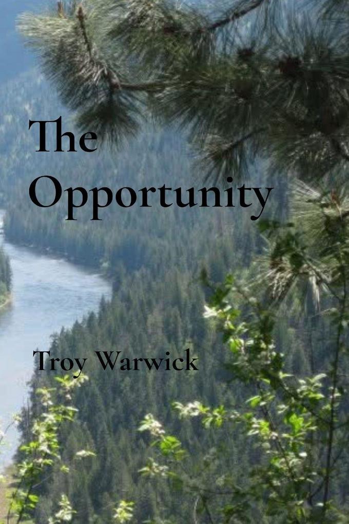 The Opportunity