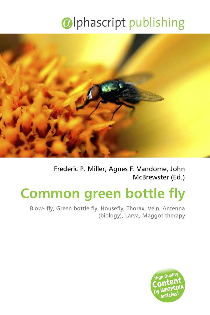 Common green bottle fly