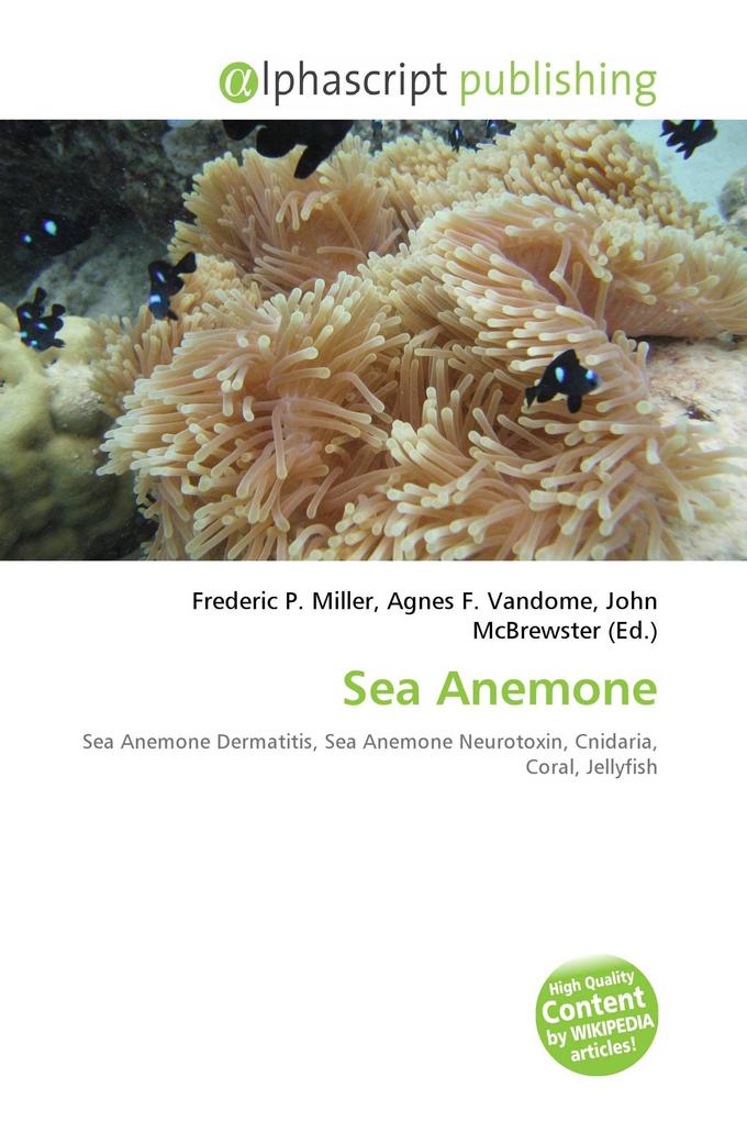 Sea Anemone