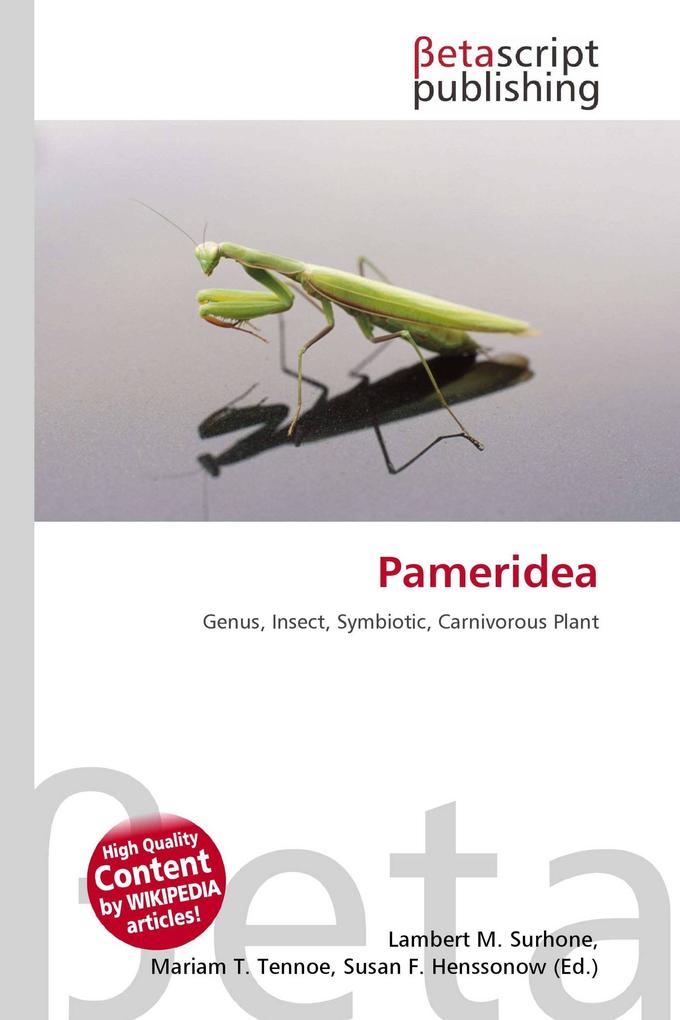 Pameridea