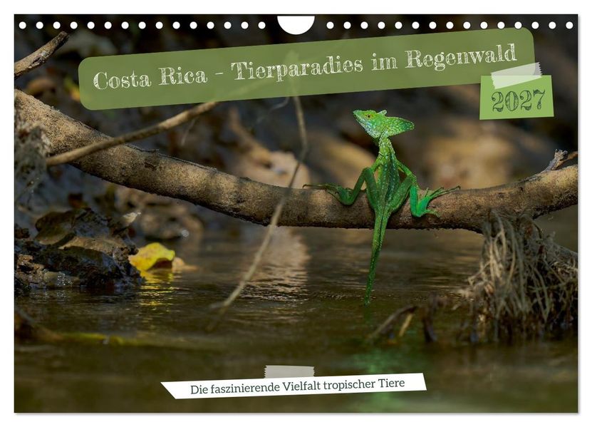 Costa Rica - Tierparadies im Regenwald (Wandkalender 2027 DIN A4 quer) CALVENDO Monatskalender