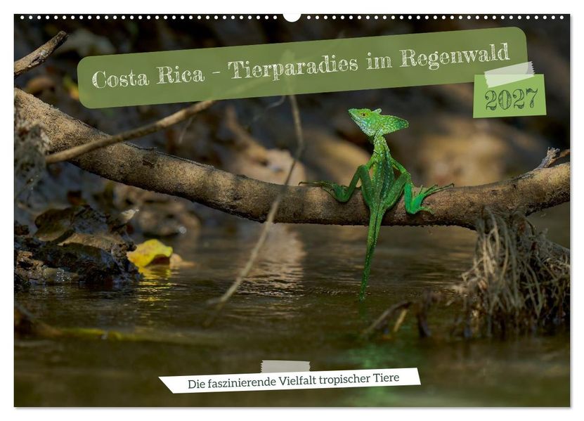 Costa Rica - Tierparadies im Regenwald (Wandkalender 2027 DIN A2 quer) CALVENDO Monatskalender