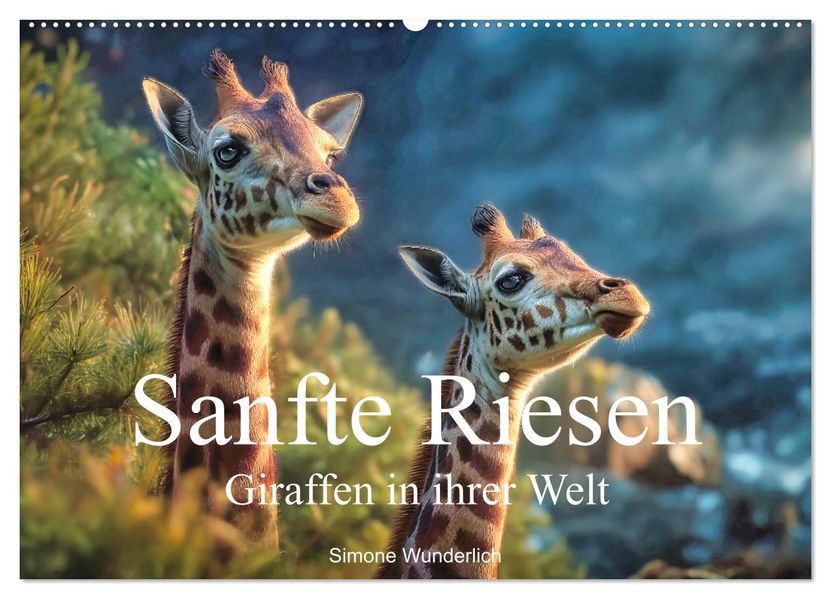 Sanfte Riesen - Giraffen in ihrer Welt (Wandkalender 2027 DIN A2 quer) CALVENDO Monatskalender