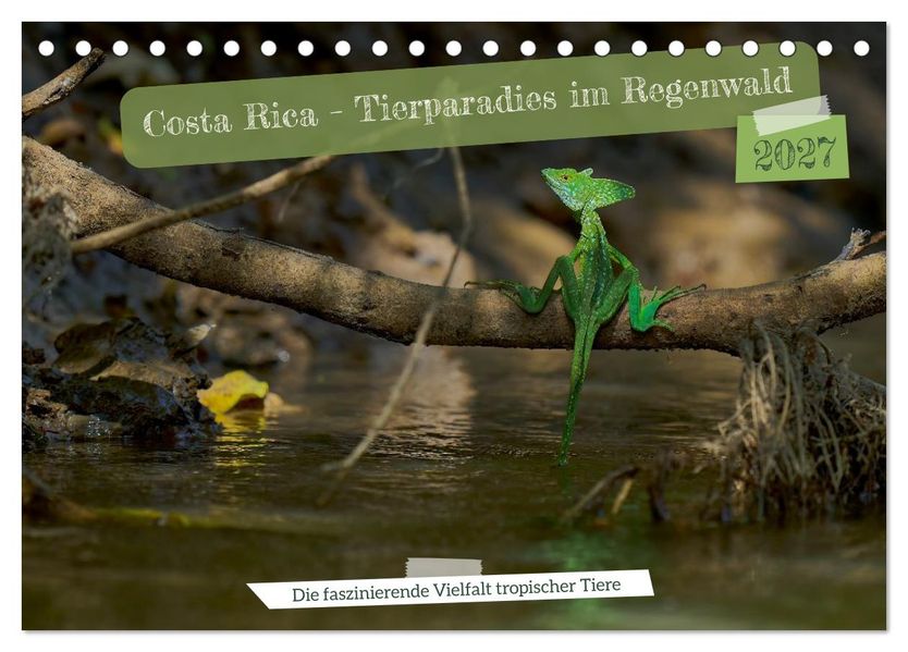 Costa Rica - Tierparadies im Regenwald (Tischkalender 2027 DIN A5 quer) CALVENDO Monatskalender