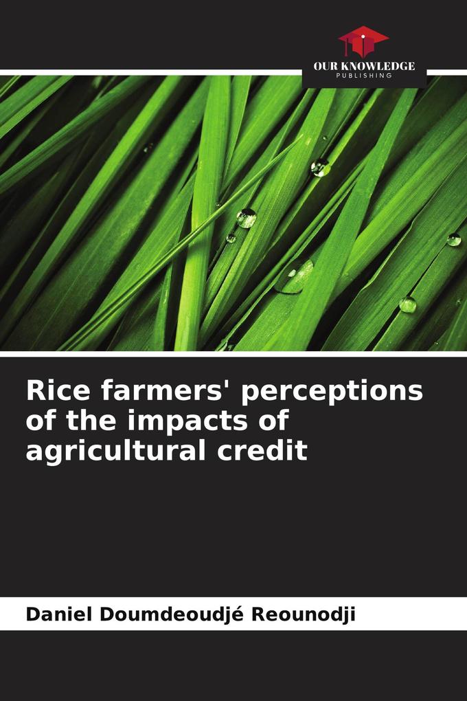 Rice farmers' perceptions of the impacts of agricultural credit