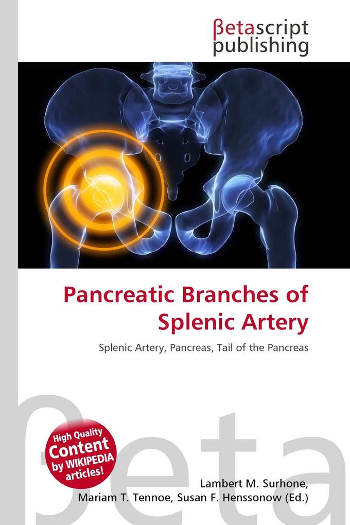 Pancreatic Branches of Splenic Artery