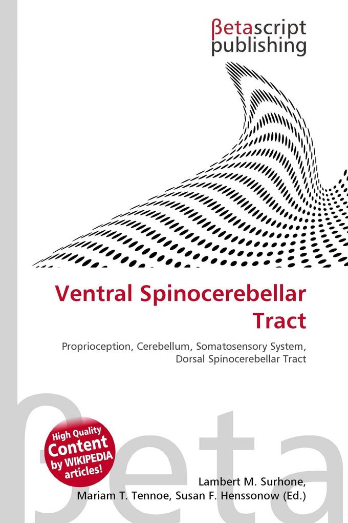 Ventral Spinocerebellar Tract