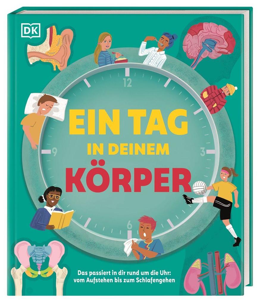 Ein Tag in deinem Körper