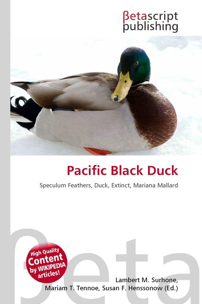 Pacific Black Duck