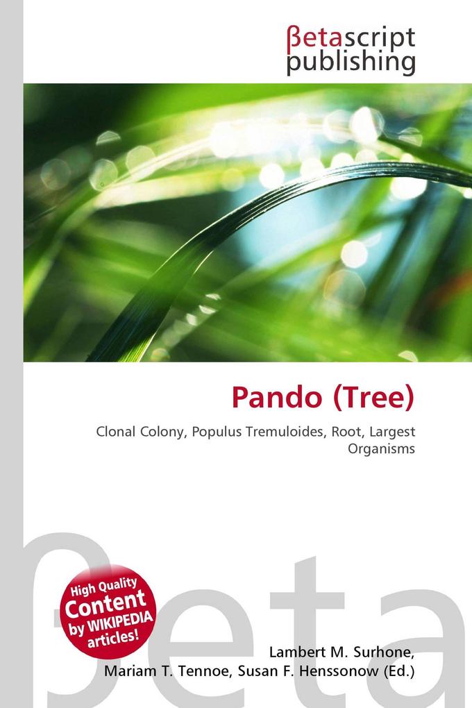 Pando (Tree)