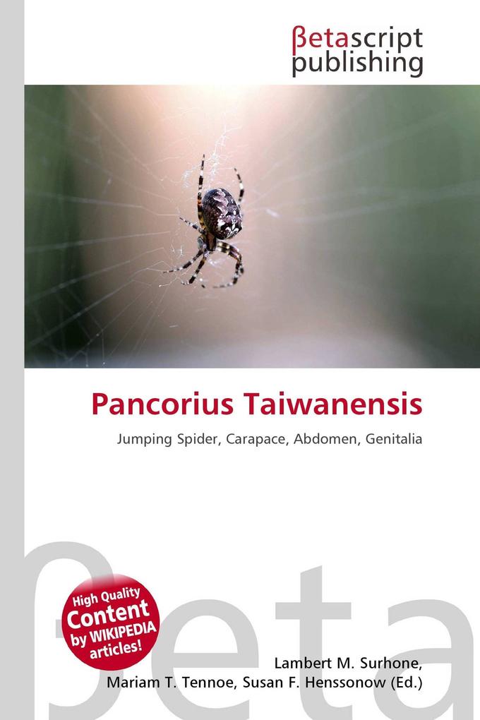 Pancorius Taiwanensis