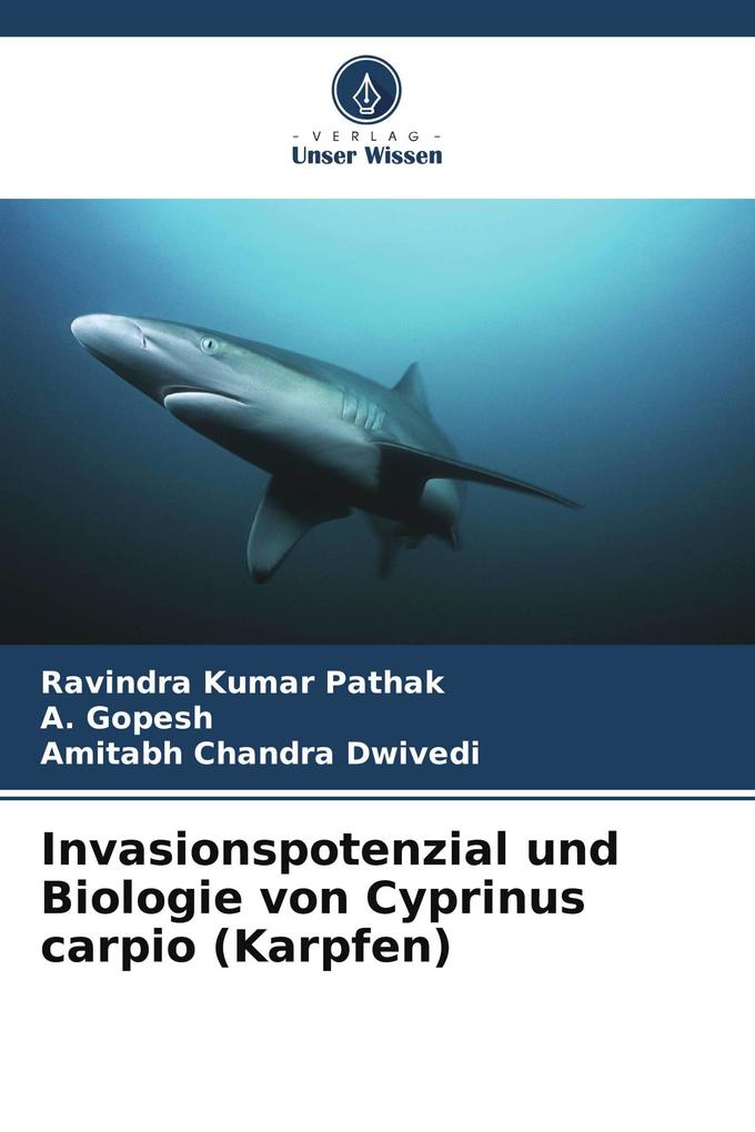 Invasionspotenzial und Biologie von Cyprinus carpio (Karpfen)