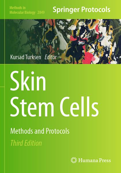 Skin Stem Cells