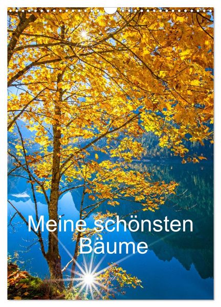 Meine schönsten Bäume (Wandkalender 2027 DIN A3 hoch) CALVENDO Monatskalender