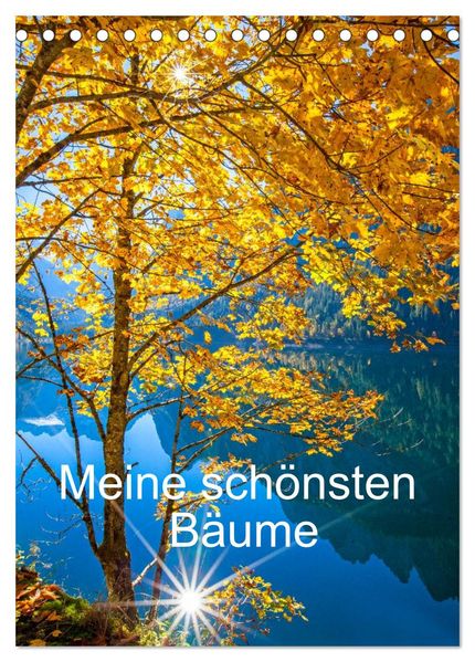Meine schönsten Bäume (Tischkalender 2027 DIN A5 hoch) CALVENDO Monatskalender