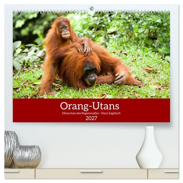 Orang-Utans - Menschen des Regenwaldes (hochwertiger Premium Wandkalender 2027 DIN A2 quer) Kunstdruck in Hochglanz