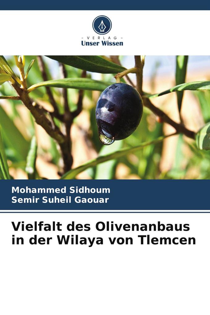 Vielfalt des Olivenanbaus in der Wilaya von Tlemcen