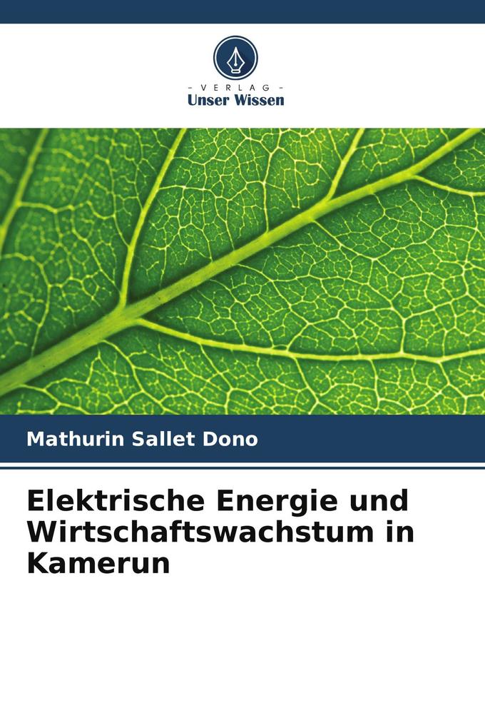 Elektrische Energie und Wirtschaftswachstum in Kamerun
