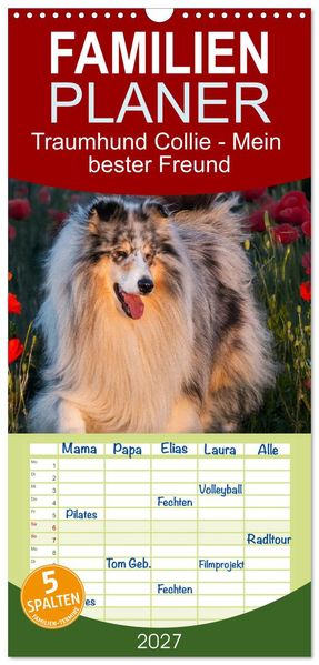 Familienplaner 2027 - Traumhund Collie - Mein bester Freund mit 5 Spalten (Wandkalender 21 x 45 cm) CALVENDO