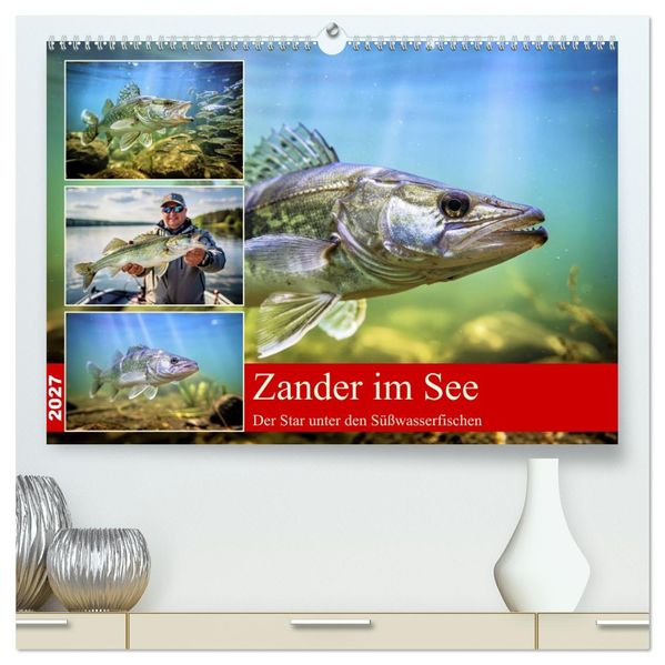 Zander im See (hochwertiger Premium Wandkalender 2027 DIN A2 quer) Kunstdruck in Hochglanz