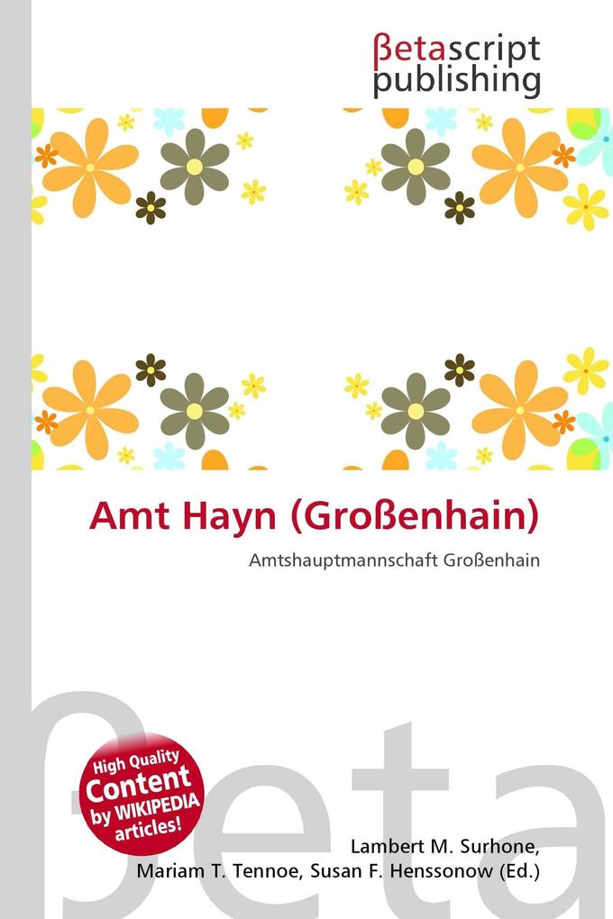 Amt Hayn (Großenhain)