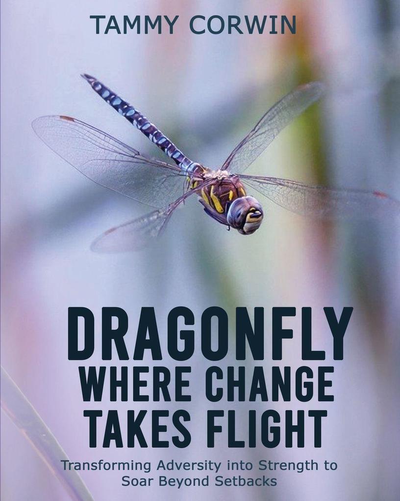 Dragonfly Where Change Takes Flight