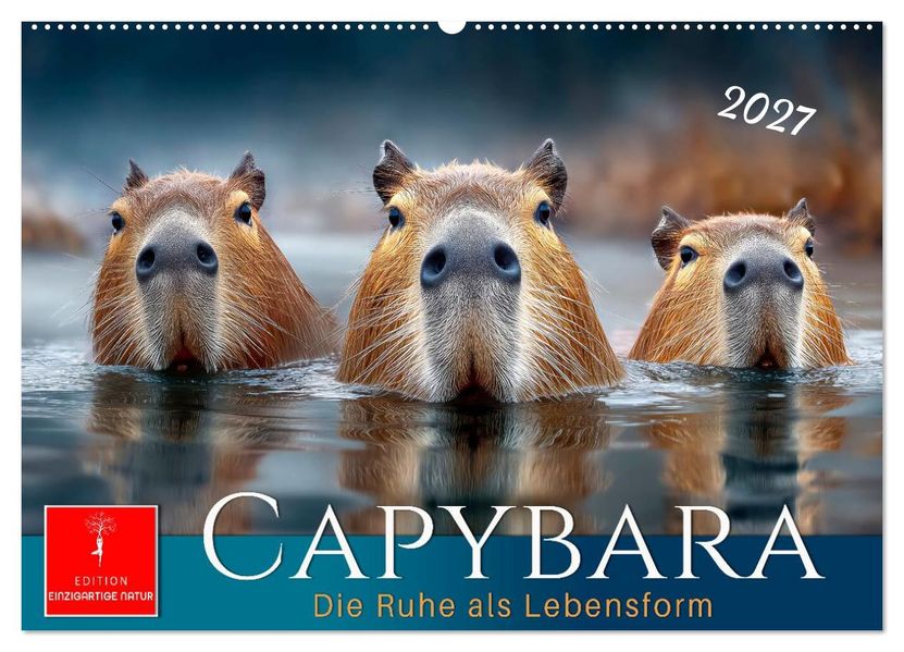 Capybara - die Ruhe als Lebensform (Wandkalender 2027 DIN A2 quer) CALVENDO Monatskalender