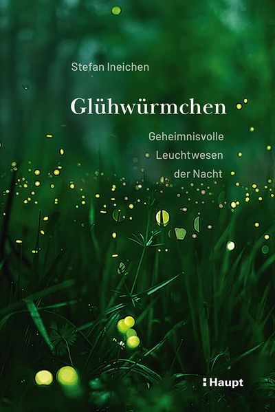 Glühwürmchen