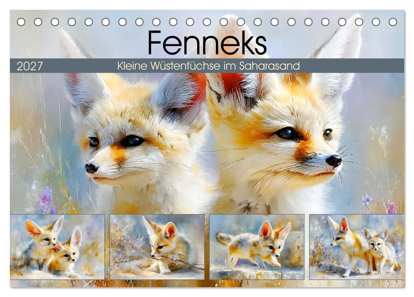 Fenneks. Kleine Wüstenfüchse im Saharasand (Tischkalender 2027 DIN A5 quer) CALVENDO Monatskalender