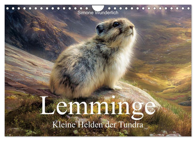 Lemminge - Kleine Helden der Tundra (Wandkalender 2027 DIN A4 quer) CALVENDO Monatskalender