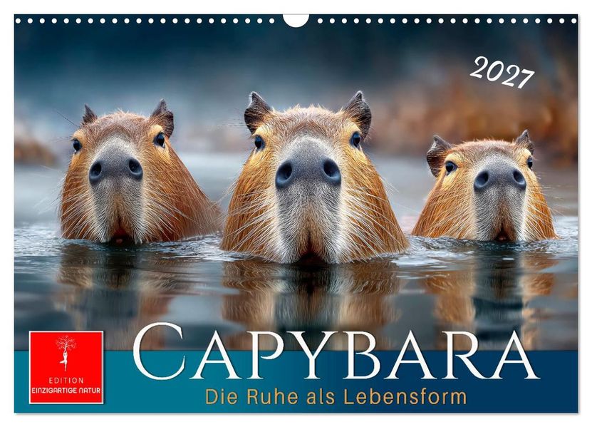 Capybara - die Ruhe als Lebensform (Wandkalender 2027 DIN A3 quer) CALVENDO Monatskalender