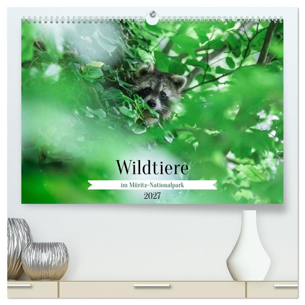 Wildtiere im Müritz-Nationalpark (hochwertiger Premium Wandkalender 2027 DIN A2 quer) Kunstdruck in Hochglanz
