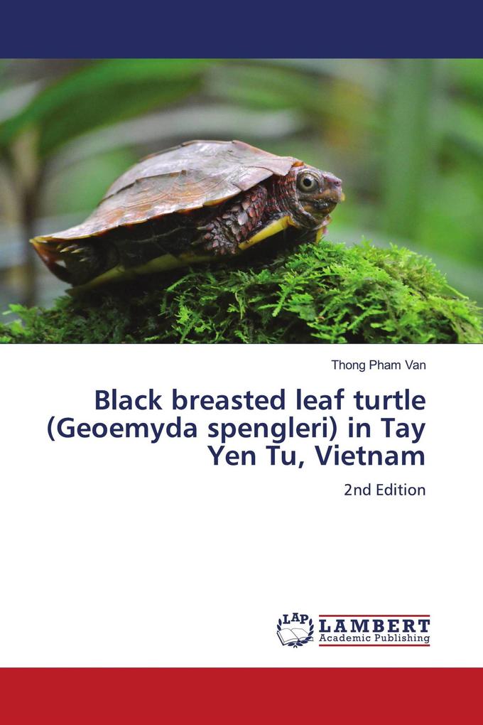 Black breasted leaf turtle (Geoemyda spengleri) in Tay Yen Tu Vietnam