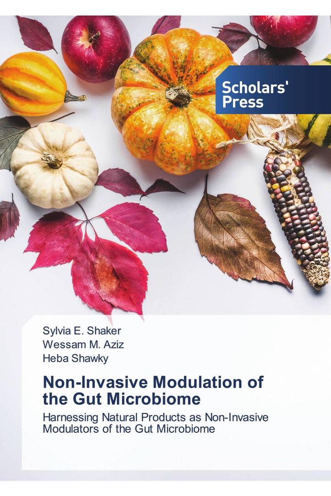 Non-Invasive Modulation of the Gut Microbiome