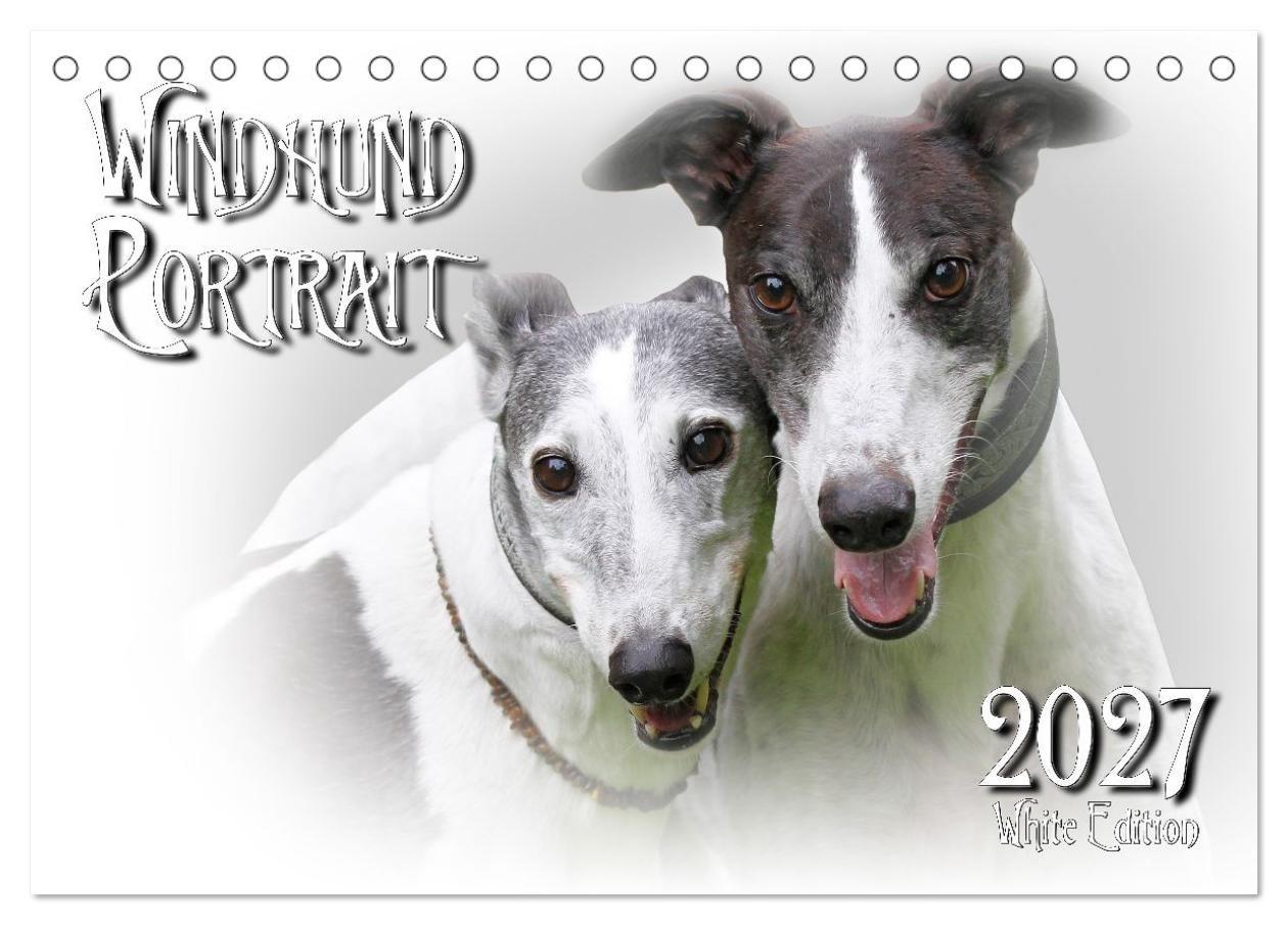 Windhund Portrait 2027 White Edition (Tischkalender 2027 DIN A5 quer) CALVENDO Monatskalender
